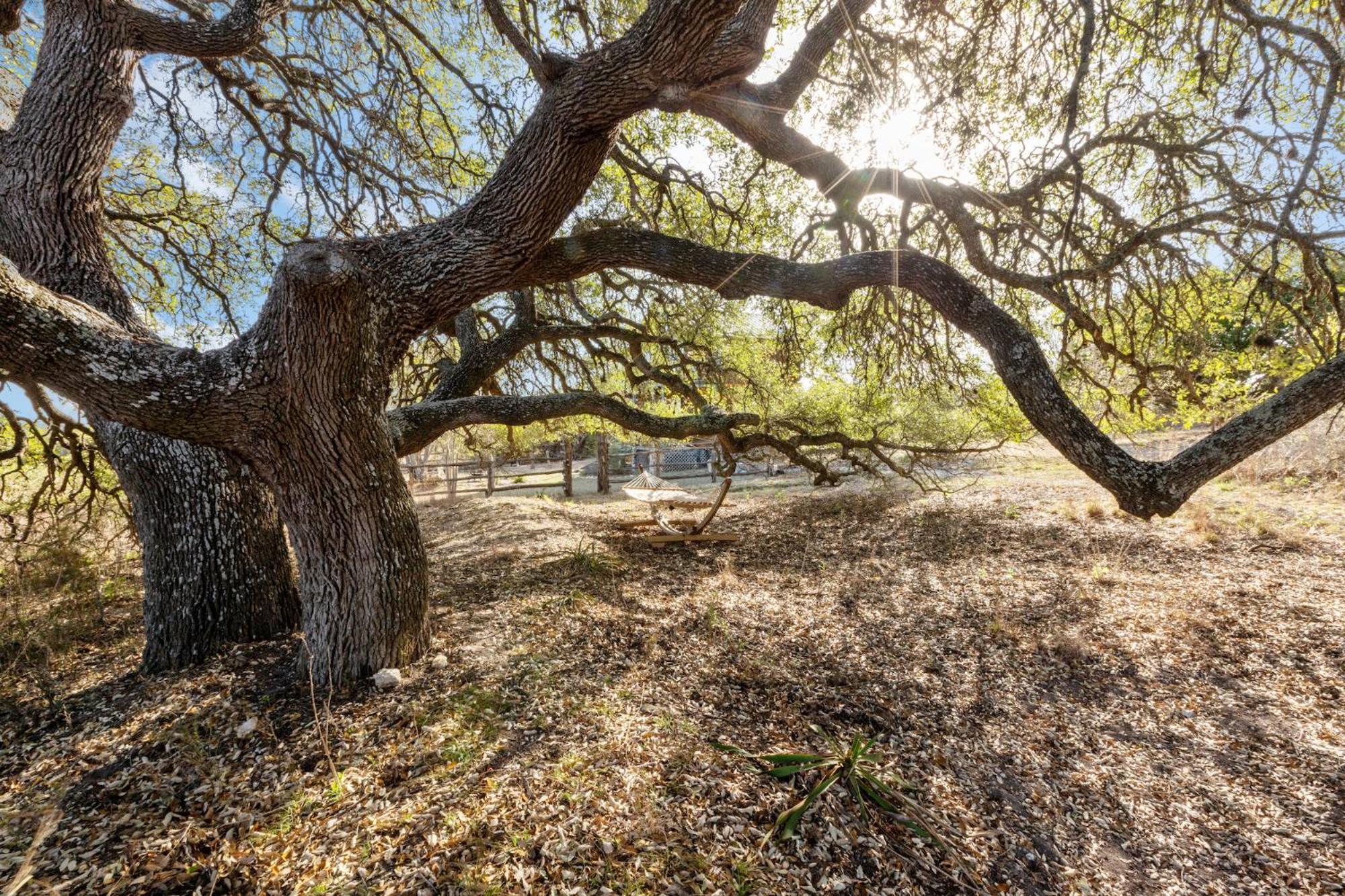 Mighty Oak Log Cabin Φρέντερικσμπεργκ Εξωτερικό φωτογραφία